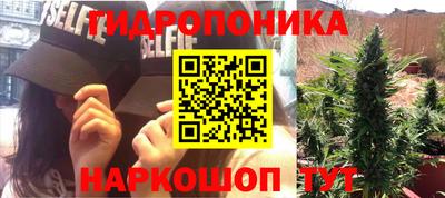 ГАЛЛЮЦИНОГЕННЫЕ ГРИБЫ Заволжье