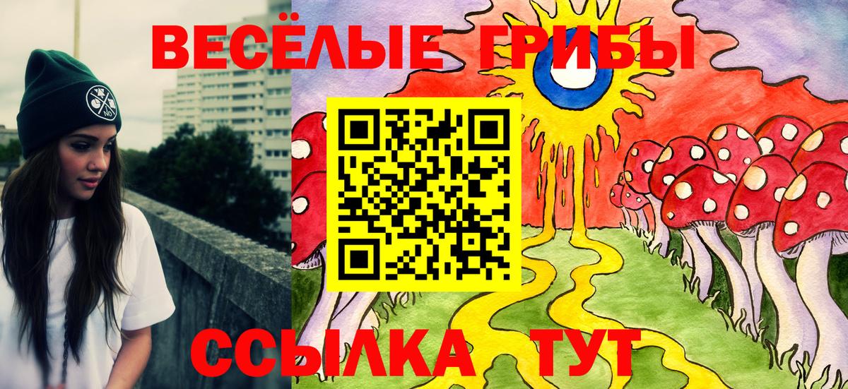 Галлюциногенные грибы Psilocybe Тында